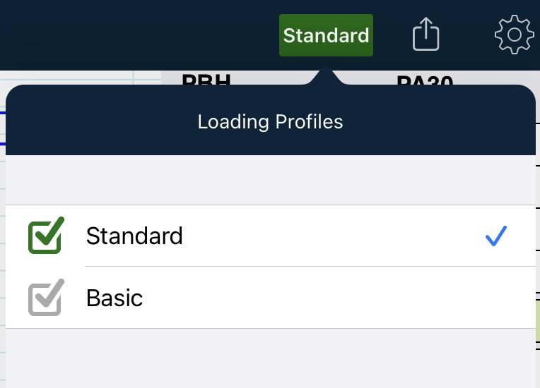 Approved loading profile marked with a green tick in Apple 9.x