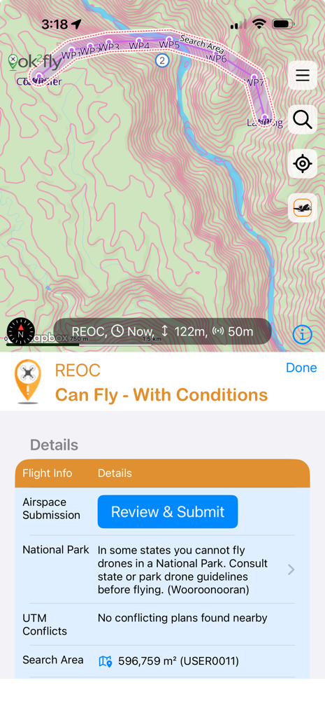Area-query result on Apple showing conditions, conflict information and the Review and Submit control