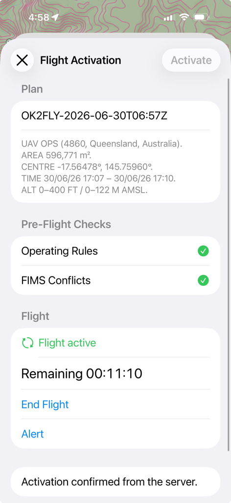 Flight Activation screen showing successful checks and a server-confirmed active flight on Apple