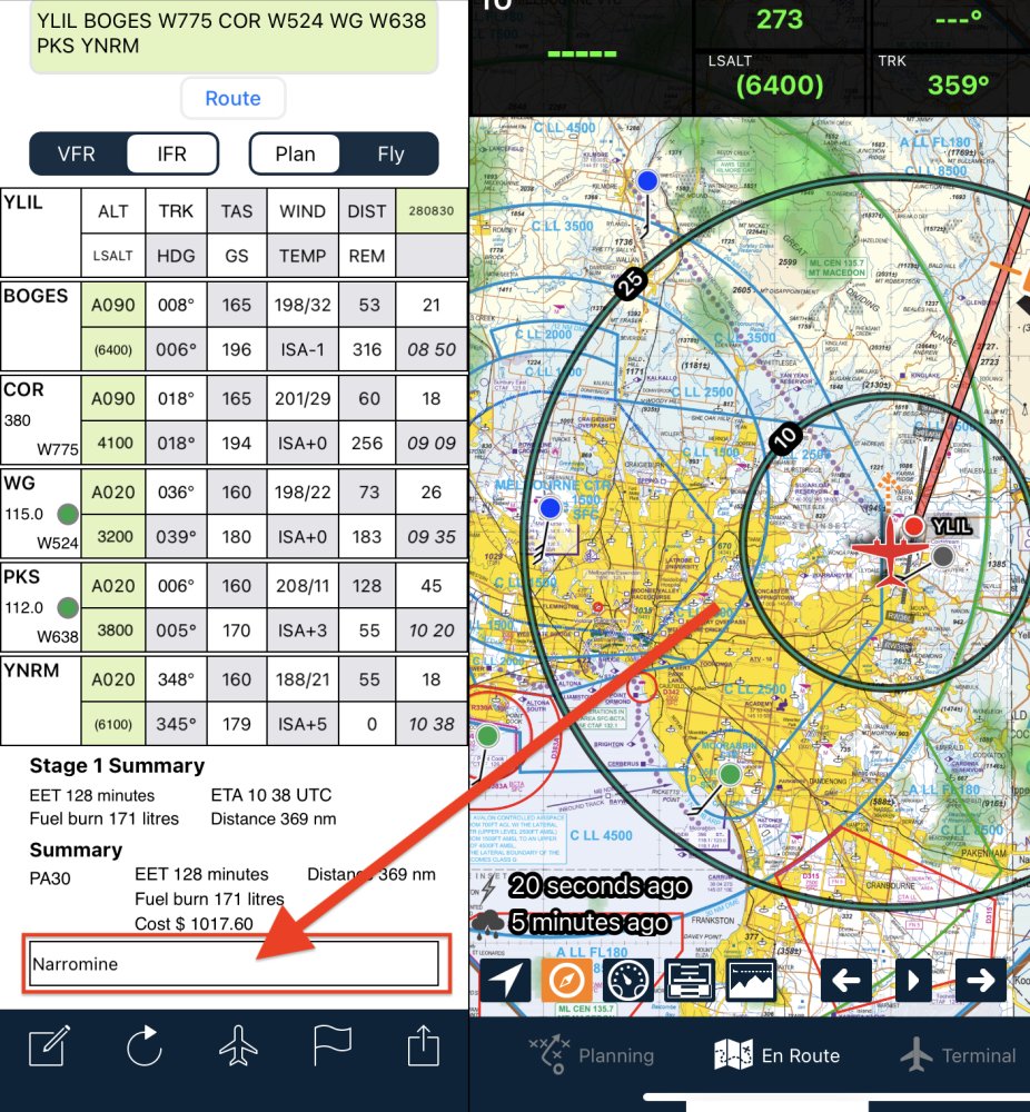 Flight Plan Description field