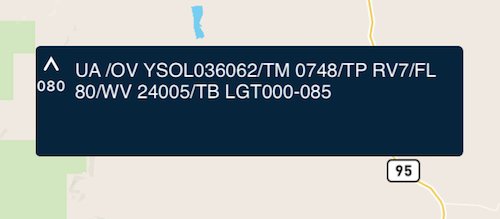 Pilot Weather Reports interface on Apple