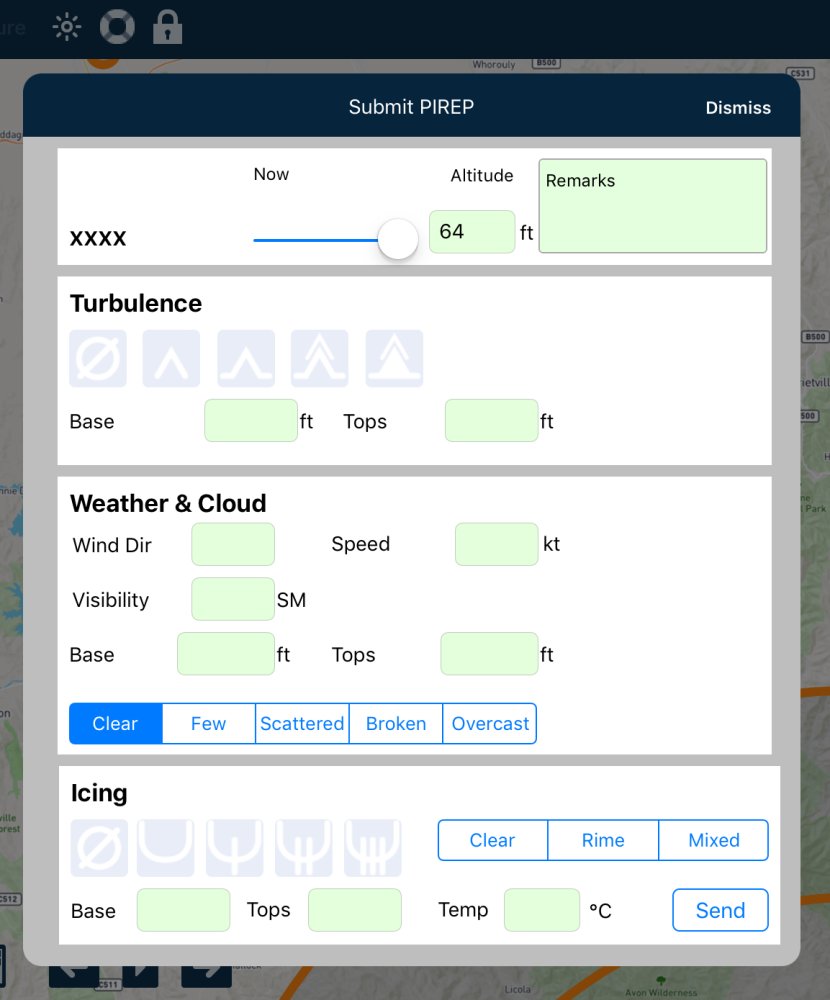 Submit PIREP view