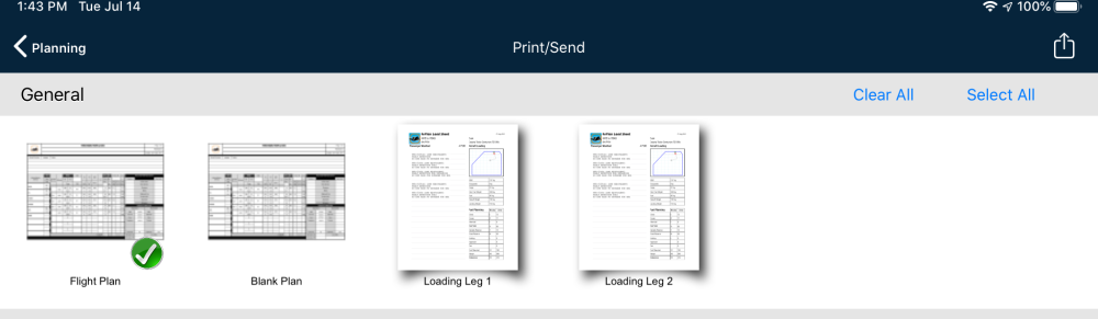 Flight-plan report controls in Apple 9.x